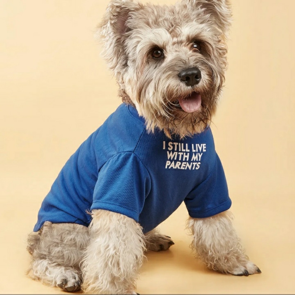 Pet  clothing